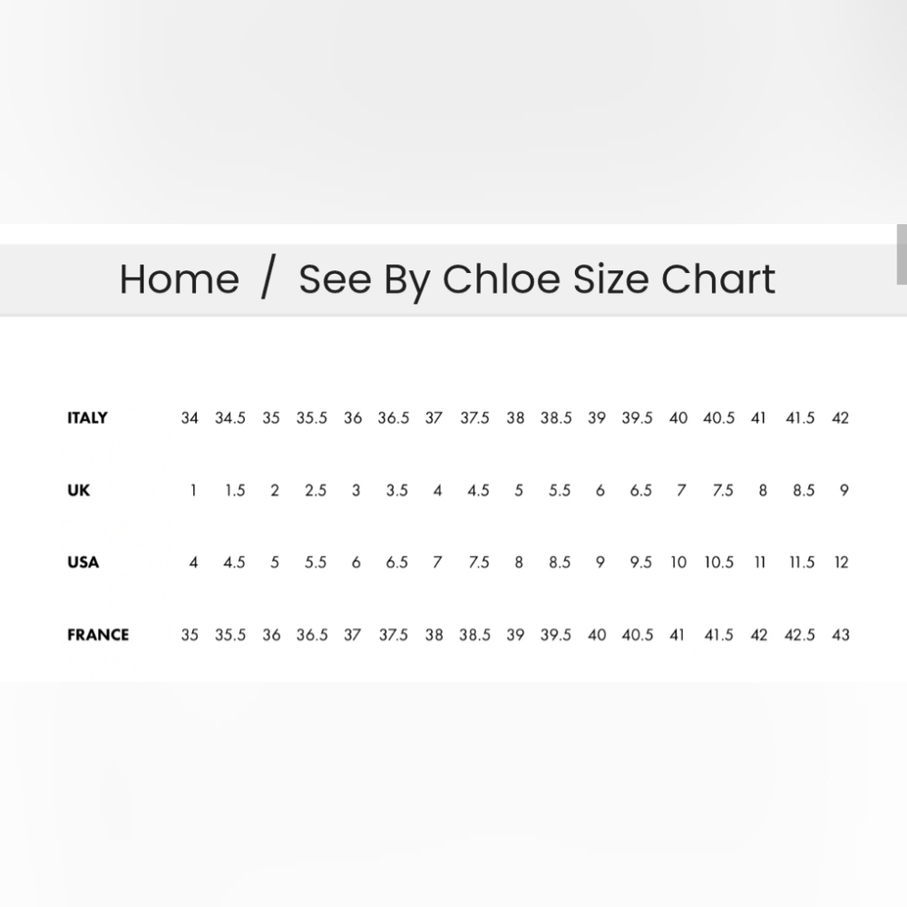 $395 NWT French See by Chloe Crystal White Lace Long Sleeve Top . Size 36 (US 5) - Picture 15 of 15